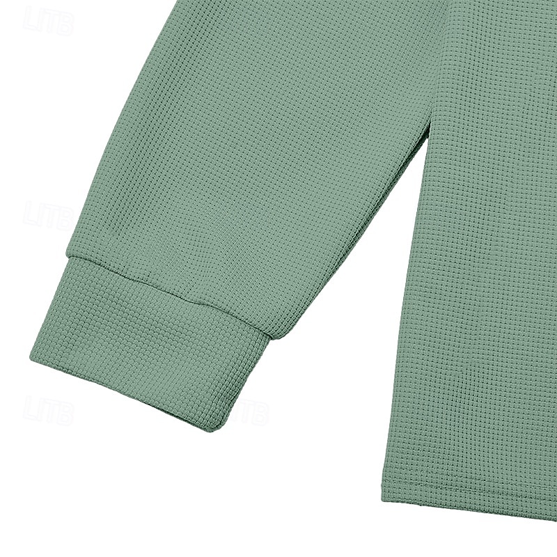 Férfi Gofris pólóingek Texturált Szabadtéri Hétköznapi Negyed irányítószám Hosszú ujj Divat Modern Tömör szín Texturált Kötött Ősz Tavasz & Ősz Ősz & tél Normál Sötétbarna Bor Fekete Fehér 2026 - $24.99 –P14