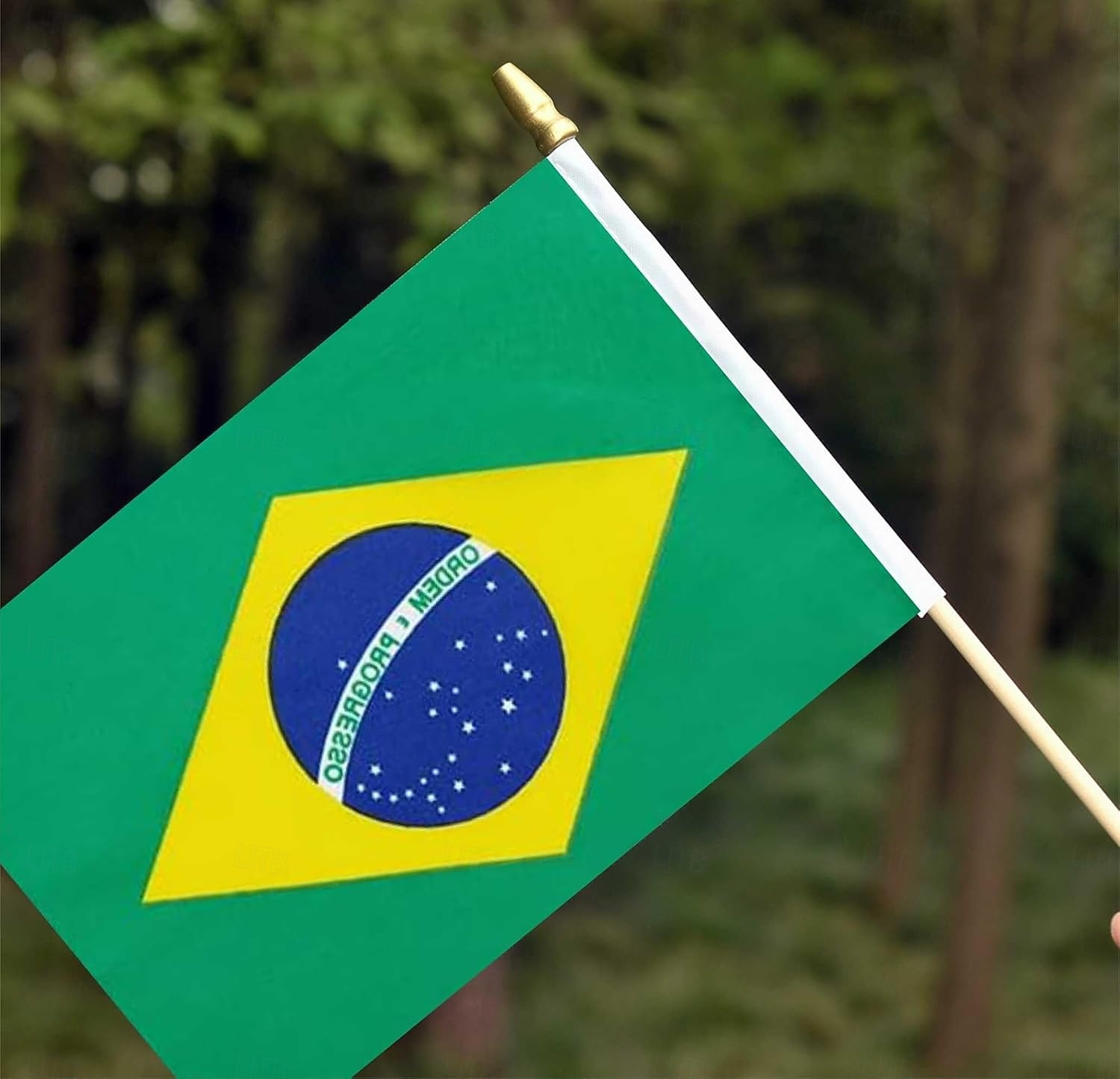 25Pack Small Brazil Flag Handheld Mini Brazilian Flag on Stick 5x8 Inch for Soccer World Summer Cup Match, Sports Events, Party Decorations, Fans Cheering 2026 - $16.99 –P4