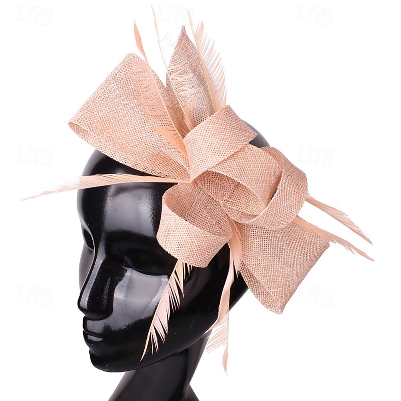 Fascinators Plumes Mariage Anniversaire ancien Mignon Rétro Avec Plume Casque Couvre-chef de 2026 ? $17.49 –P2
