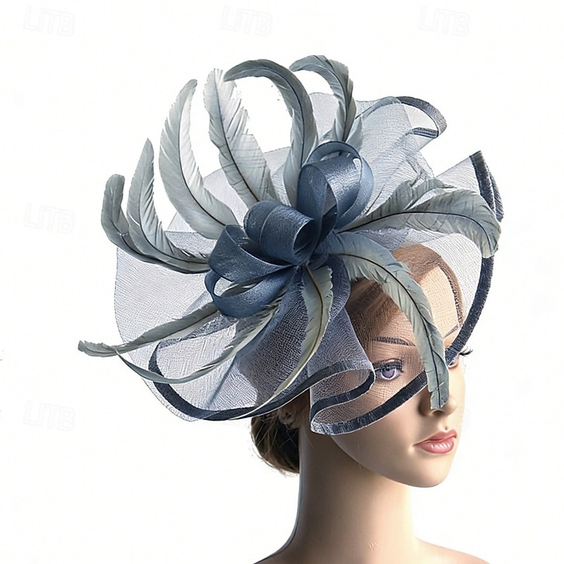 fascinators Veer Netto Bruiloft Verjaardag Elegant Vintage leuke Style Met Veer Tule Helm Hoofddeksels 2026 - $17.49 –P5