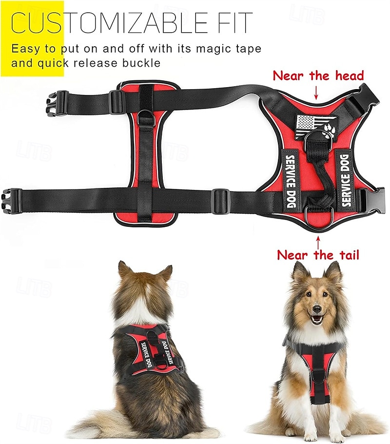 Set composto da pettorina e guinzaglio per cani da assistenza, include ciotola pieghevole, giubbotto riflettente e cinque toppe. Pettorina regolabile in morbido tessuto Oxford, adatta a cani di del 2026 a $31.99 –P5
