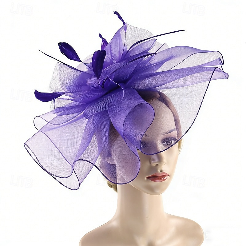Fascinator Piuma Rete Matrimonio Compleanno Elegante Vintage Carino Con Piuma Tulle Copricapo Copricapo del 2026 a $17.49 –P6