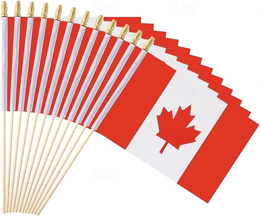25Pack Small Canada Flag Handheld Mini Canadian Flag on Stick 5x8 Inch for Soccer World Summer Cup Match, Sports Events, Party Decorations, Fans Cheering 2026 - $16.99 –P1