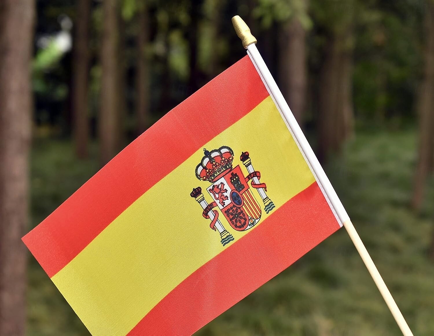 Paquete de 25 banderas pequeñas de España, mini bandera española portátil en palo de 5 x 8 pulgadas para partidos de la Copa Mundial de Fútbol de verano, eventos deportivos, decoraciones de fiesta y 2026 - $16.99 –P4