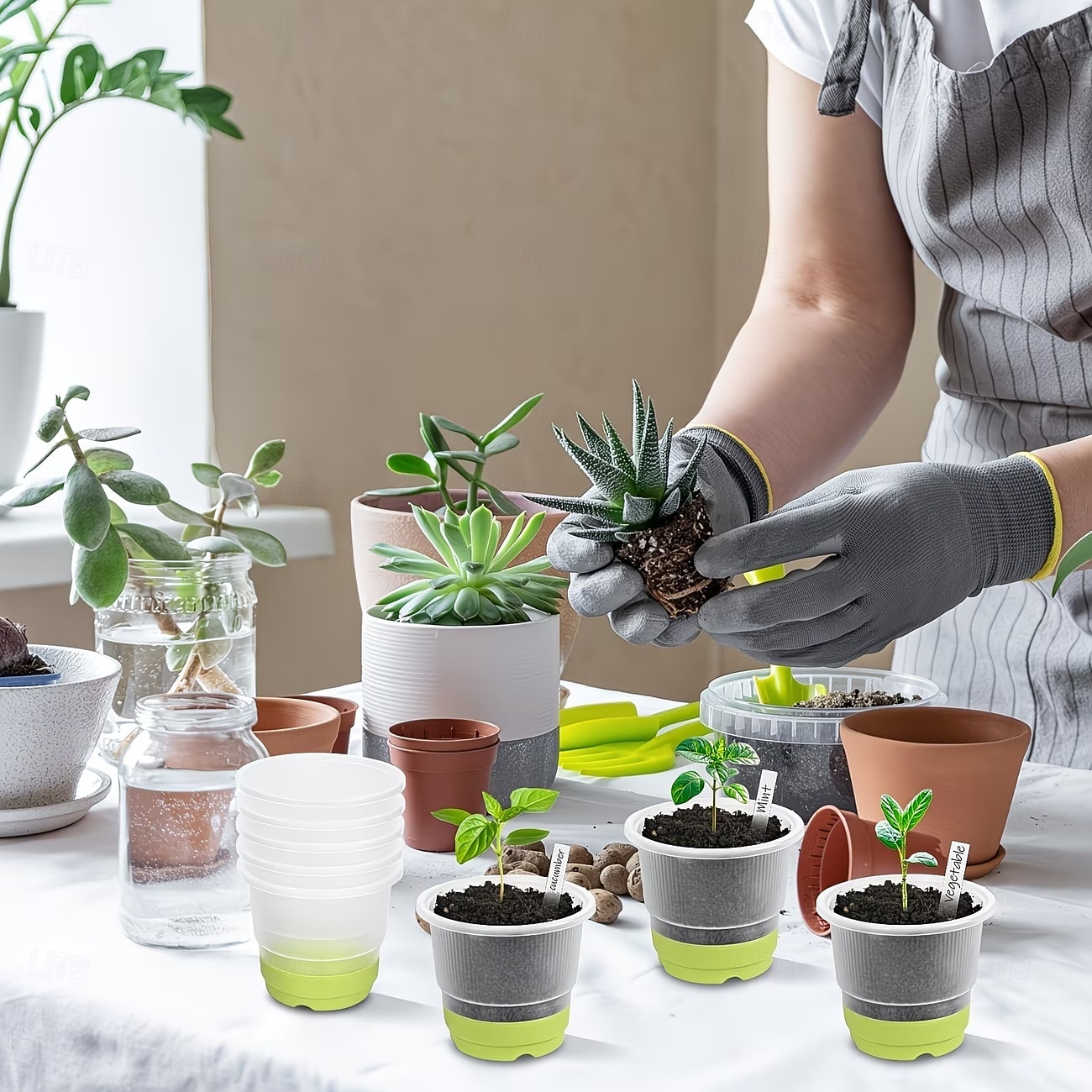 2026年 蓋付きスタータートレイと植物ラベル付きの4インチ苗カップ10個、透明な苗ポット、補強されたベース付きの再利用可能なプラスチック植木鉢、移植が簡単 &種まき  コレクション – $28.99 –P3