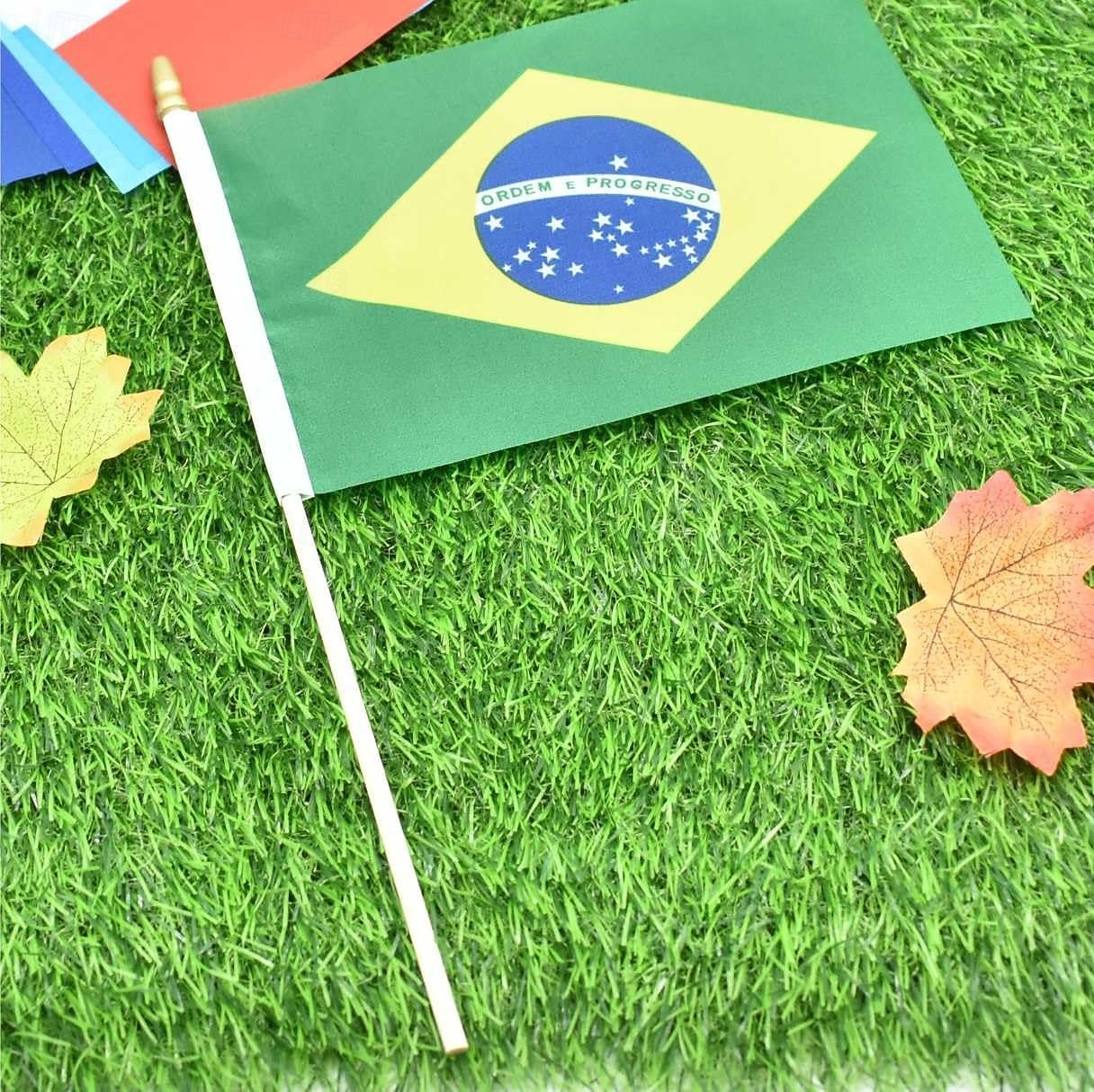 25Pack Small Brazil Flag Handheld Mini Brazilian Flag on Stick 5x8 Inch for Soccer World Summer Cup Match, Sports Events, Party Decorations, Fans Cheering 2026 - $16.99 –P5