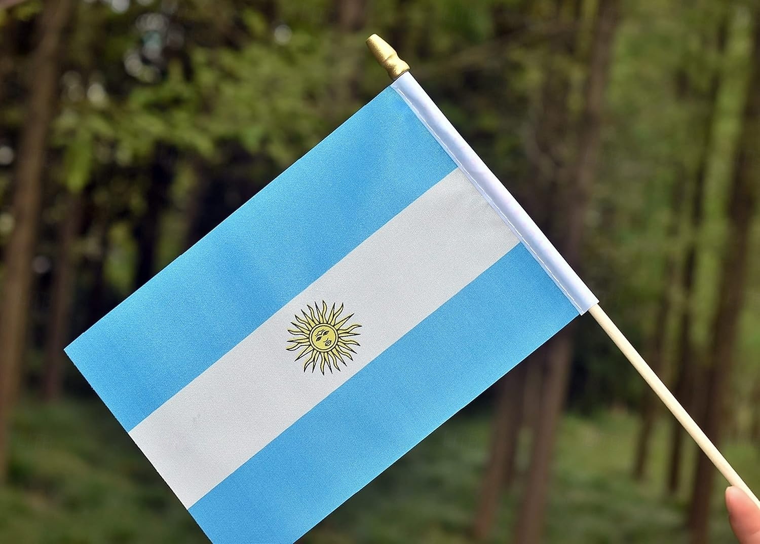 Pachet de 25 de steaguri mici din Argentina, mini steaguri argentiniene portabile, pe băț, 5x8 inch, pentru meciul Cupei Mondiale de fotbal, evenimente sportive, decorațiuni de petrecere, aclamații 2026 - $16.99 –P4