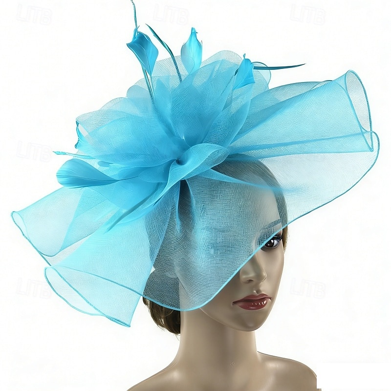 Fascinator Piuma Rete Matrimonio Compleanno Elegante Vintage Carino Con Piuma Tulle Copricapo Copricapo del 2026 a $17.49 –P2