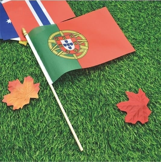 25Pack Small Portugal Flag Handheld Mini Portuguese Flags on Stick 5x8 Inch for Soccer World Summer Cup Match, Sports Events, Party Decorations, Fans Cheering 2026 - $16.99 –P4