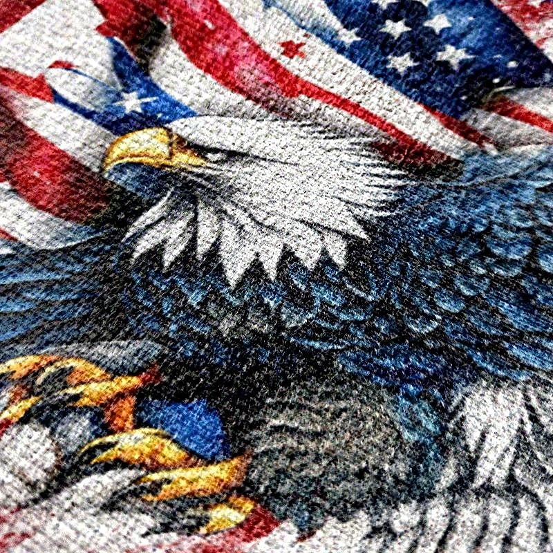 Sac bandoulière femme en polyester, bandoulière ajustable, imprimé audacieux d'aigle et de drapeau américain, parfait pour le 250e anniversaire des États-Unis, la fête de l'indépendance et au quotidien. de 2026 ? $19.99 –P5