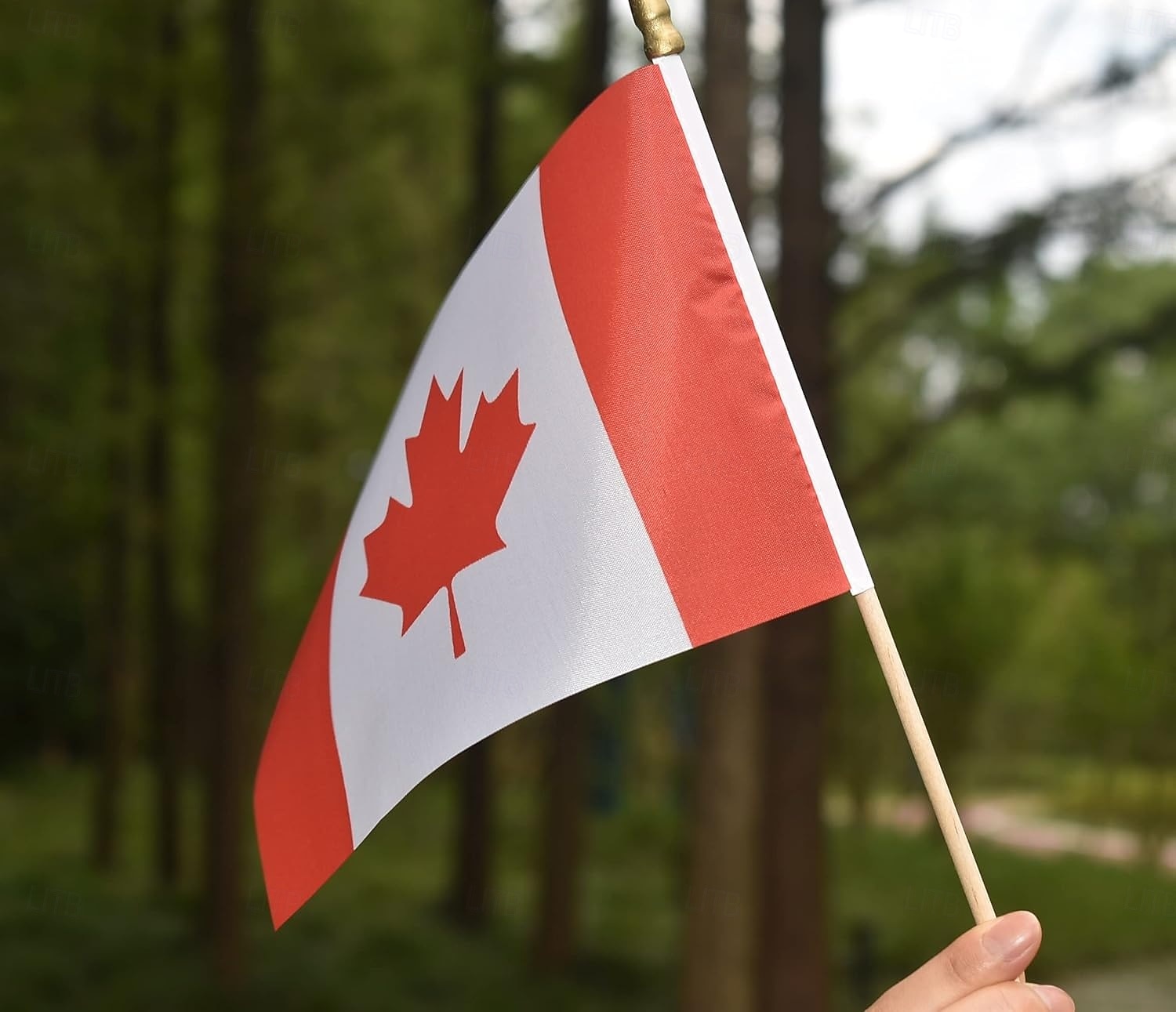25Pack Small Canada Flag Handheld Mini Canadian Flag on Stick 5x8 Inch for Soccer World Summer Cup Match, Sports Events, Party Decorations, Fans Cheering 2026 - $16.99 –P6