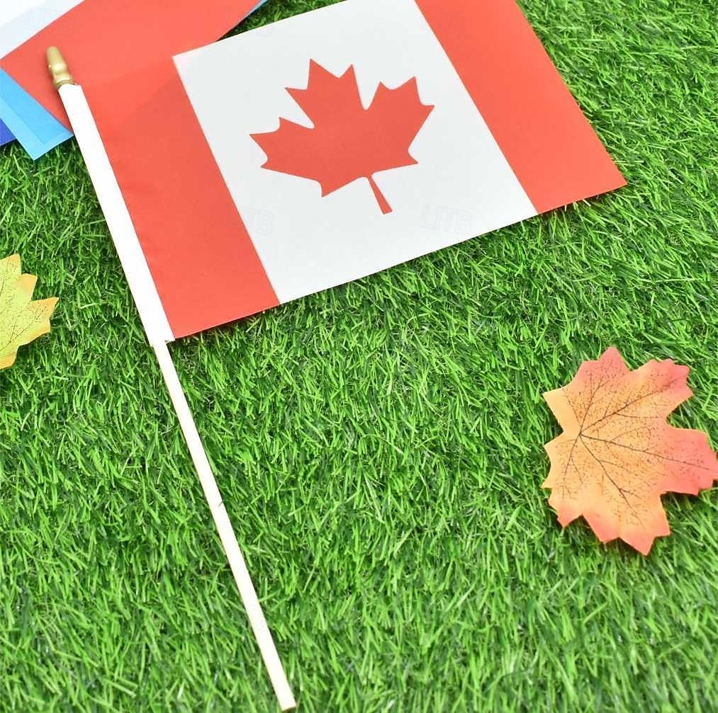 25Pack Small Canada Flag Handheld Mini Canadian Flag on Stick 5x8 Inch for Soccer World Summer Cup Match, Sports Events, Party Decorations, Fans Cheering 2026 - $16.99 –P5