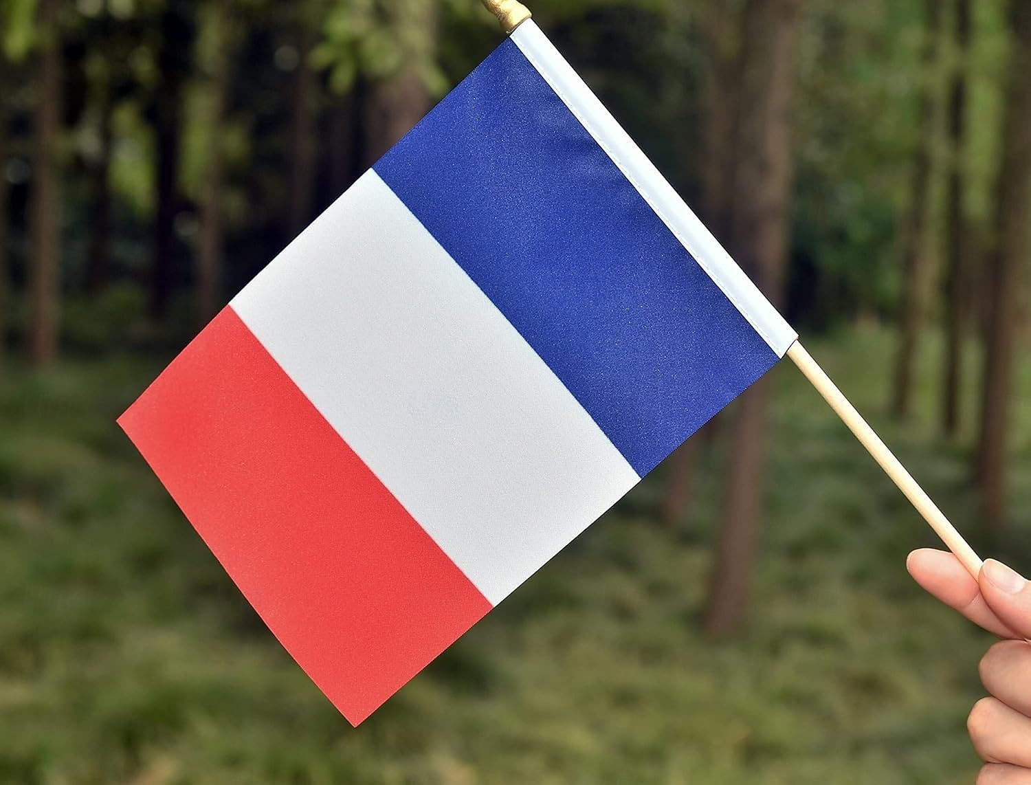 25balení malých francouzských vlaječek, ruční mini francouzská vlajka na tyčce, 5x8 palců, na letní mistrovství světa ve fotbale, sportovní akce, párty dekorace, fandění fanoušků 2026 - $16.99 –P6
