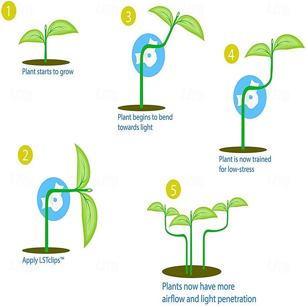 30PCS Plant Clips Adjustable Plant Branch Bending Training Clips Plant Bending Clips Planter Holder Garden Stem Trainer Clips 2026 - $20.99 –P3