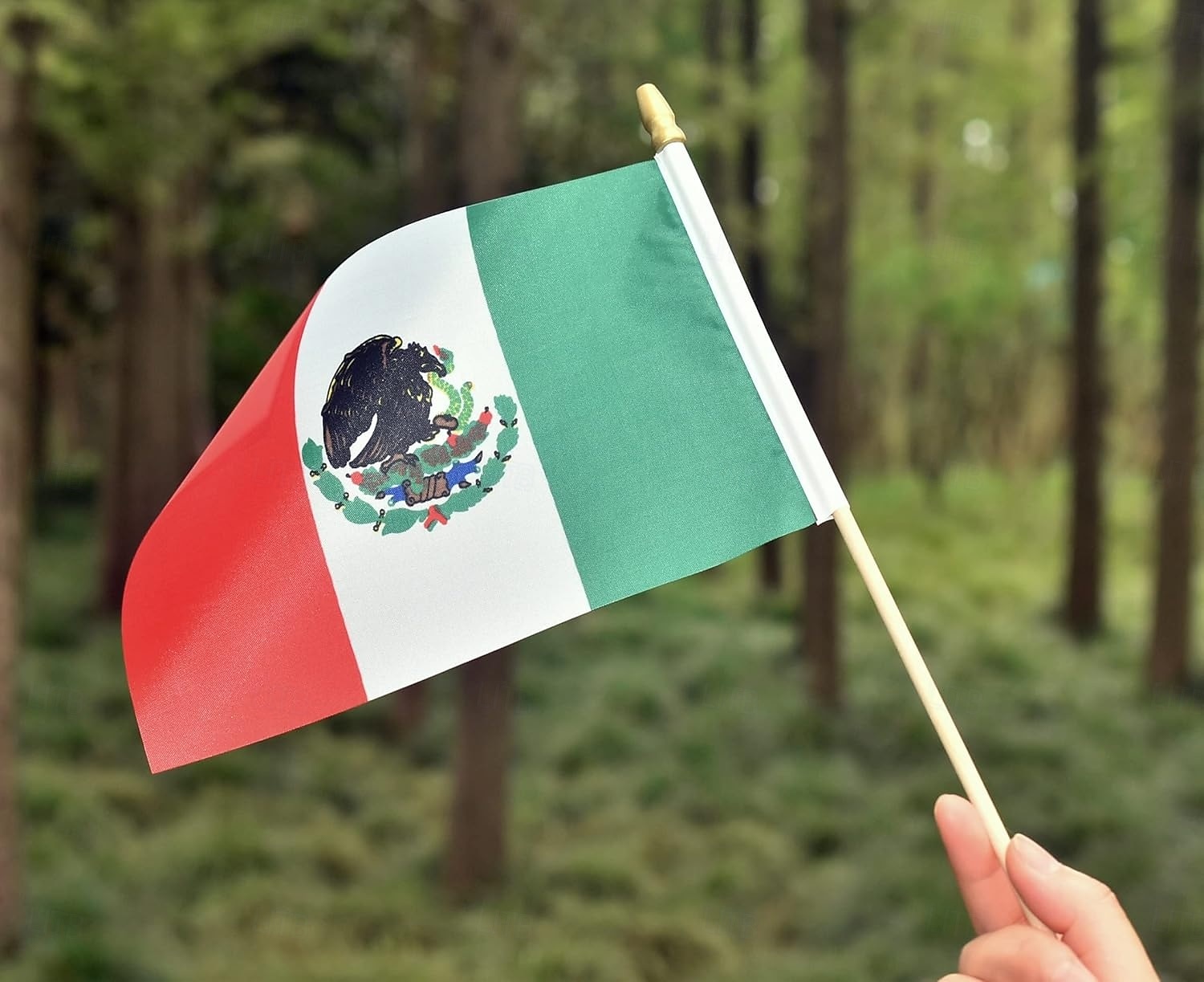 Paquete de 25 banderas pequeñas de México, mini banderas mexicanas portátiles en palo de 5 x 8 pulgadas para partidos de la Copa Mundial de Fútbol de verano, eventos deportivos, decoraciones de fiesta 2026 - $16.99 –P4