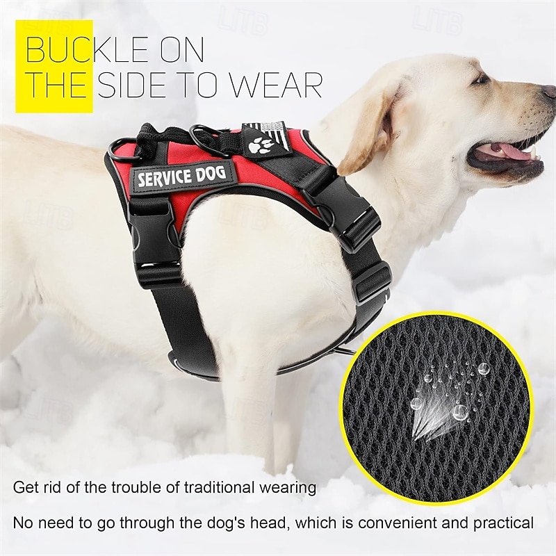 Set composto da pettorina e guinzaglio per cani da assistenza, include ciotola pieghevole, giubbotto riflettente e cinque toppe. Pettorina regolabile in morbido tessuto Oxford, adatta a cani di del 2026 a $31.99 –P3