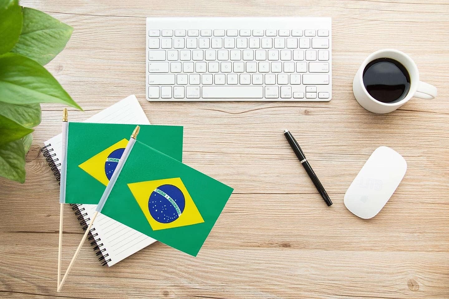 25Pack Small Brazil Flag Handheld Mini Brazilian Flag on Stick 5x8 Inch for Soccer World Summer Cup Match, Sports Events, Party Decorations, Fans Cheering 2026 - $16.99 –P6
