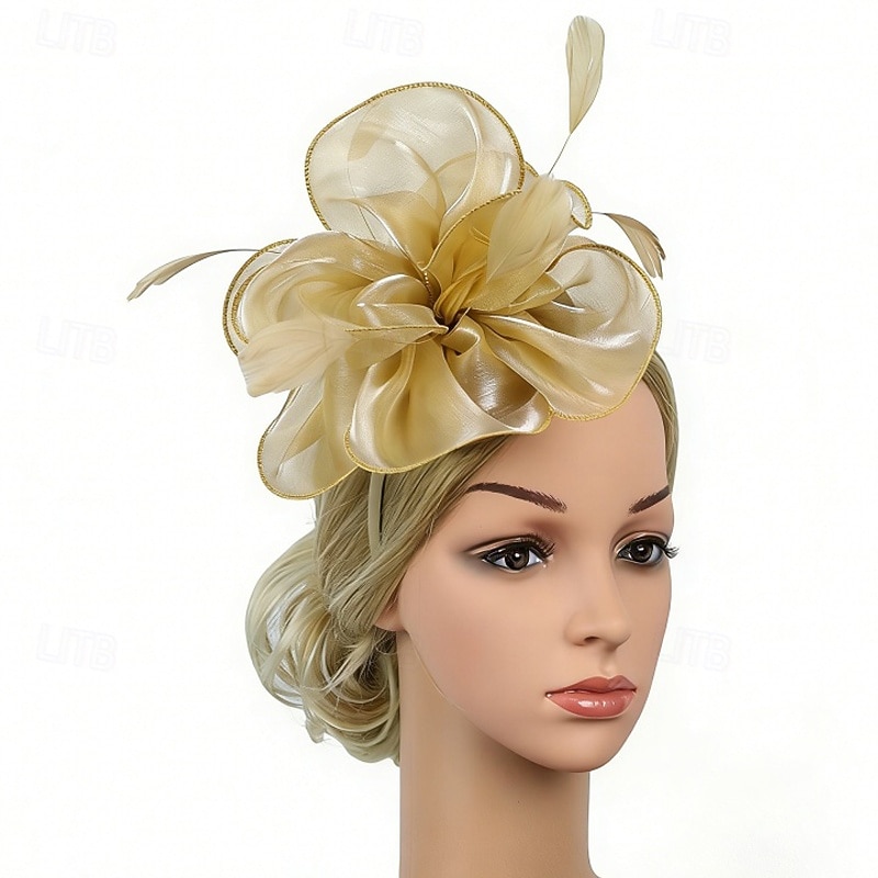 Fascinator Organza Matrimonio Compleanno Elegante Vintage Carino Con Piuma Tulle Copricapo Copricapo del 2026 a $11.49 –P1