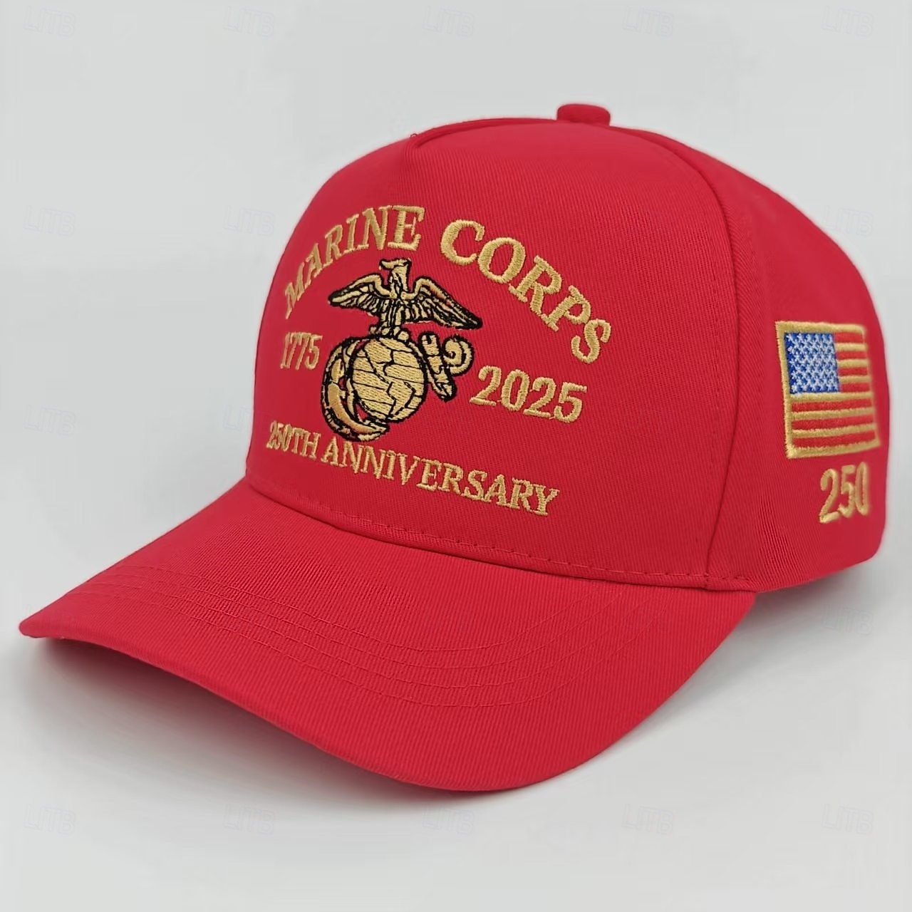 Gorra de béisbol unisex con el 250 aniversario de la independencia, portátil, transpirable, para uso diario, para exteriores, con bandera bordada en la calle. 2026 - $13.99 –P19