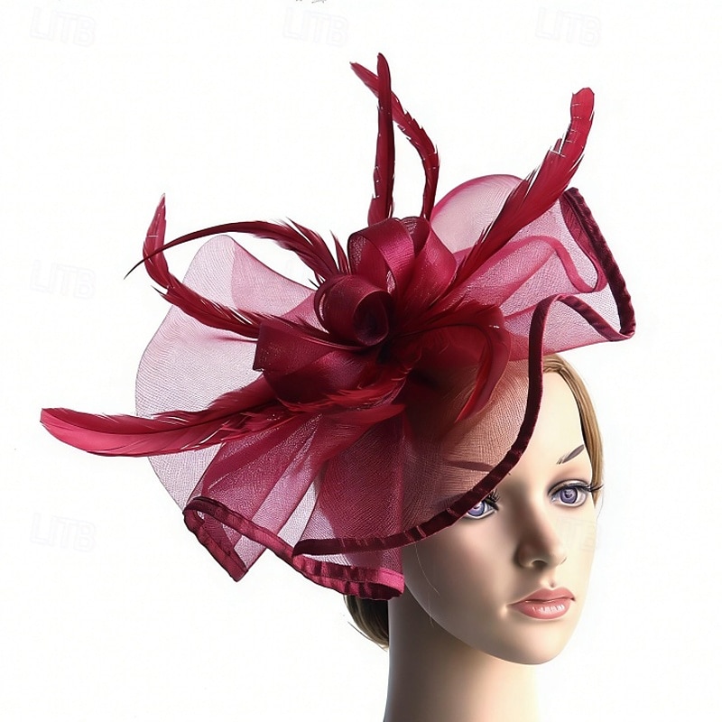 fascinators Veer Netto Bruiloft Verjaardag Elegant Vintage leuke Style Met Veer Tule Helm Hoofddeksels 2026 - $17.49 –P4