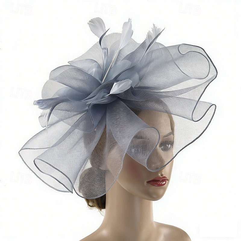 Fascinator Piuma Rete Matrimonio Compleanno Elegante Vintage Carino Con Piuma Tulle Copricapo Copricapo del 2026 a $17.49 –P3