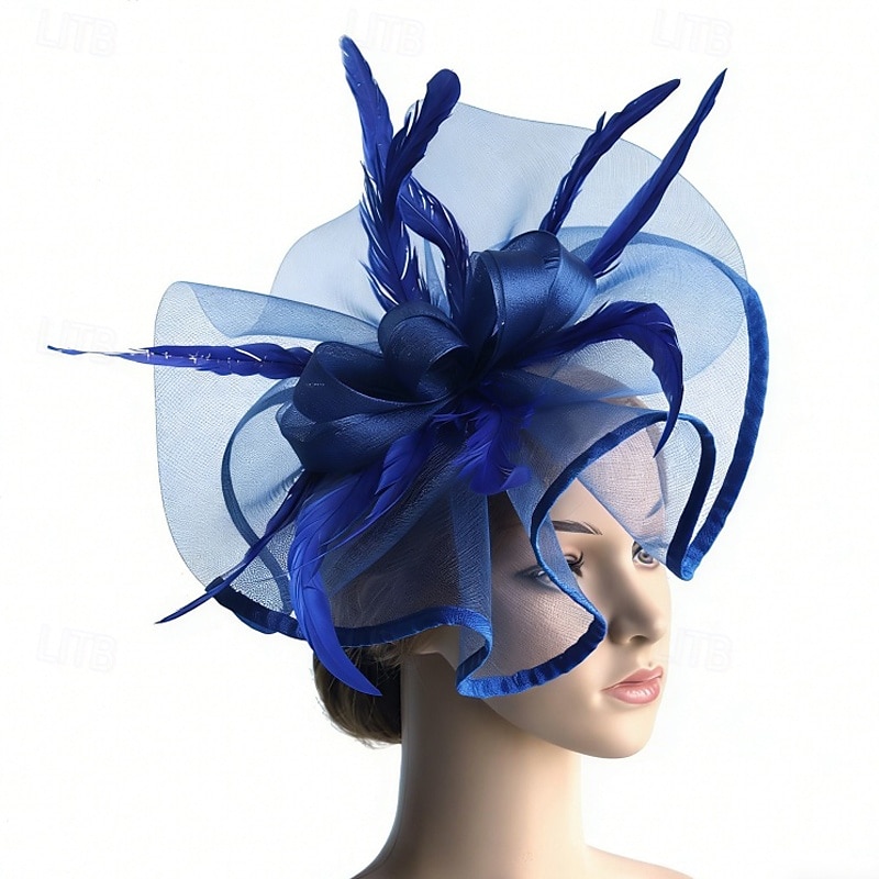 fascinators Veer Netto Bruiloft Verjaardag Elegant Vintage leuke Style Met Veer Tule Helm Hoofddeksels 2026 - $17.49 –P9