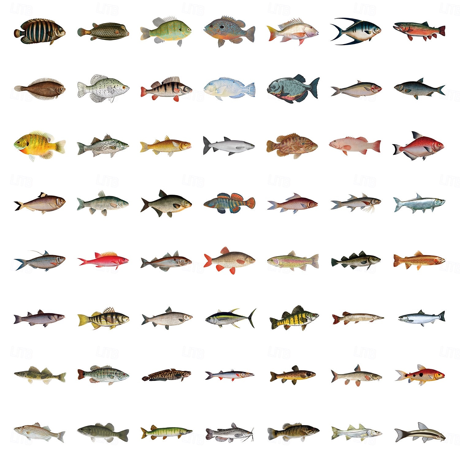 110 adesivi di pesci per adulti e bambini, adesivi in vinile impermeabili di animali marini oceanici per laptop, borraccia, telefono, Kindle, diario, album di ritagli, skateboard, bagagli, senza del 2026 a $10.49 –P15