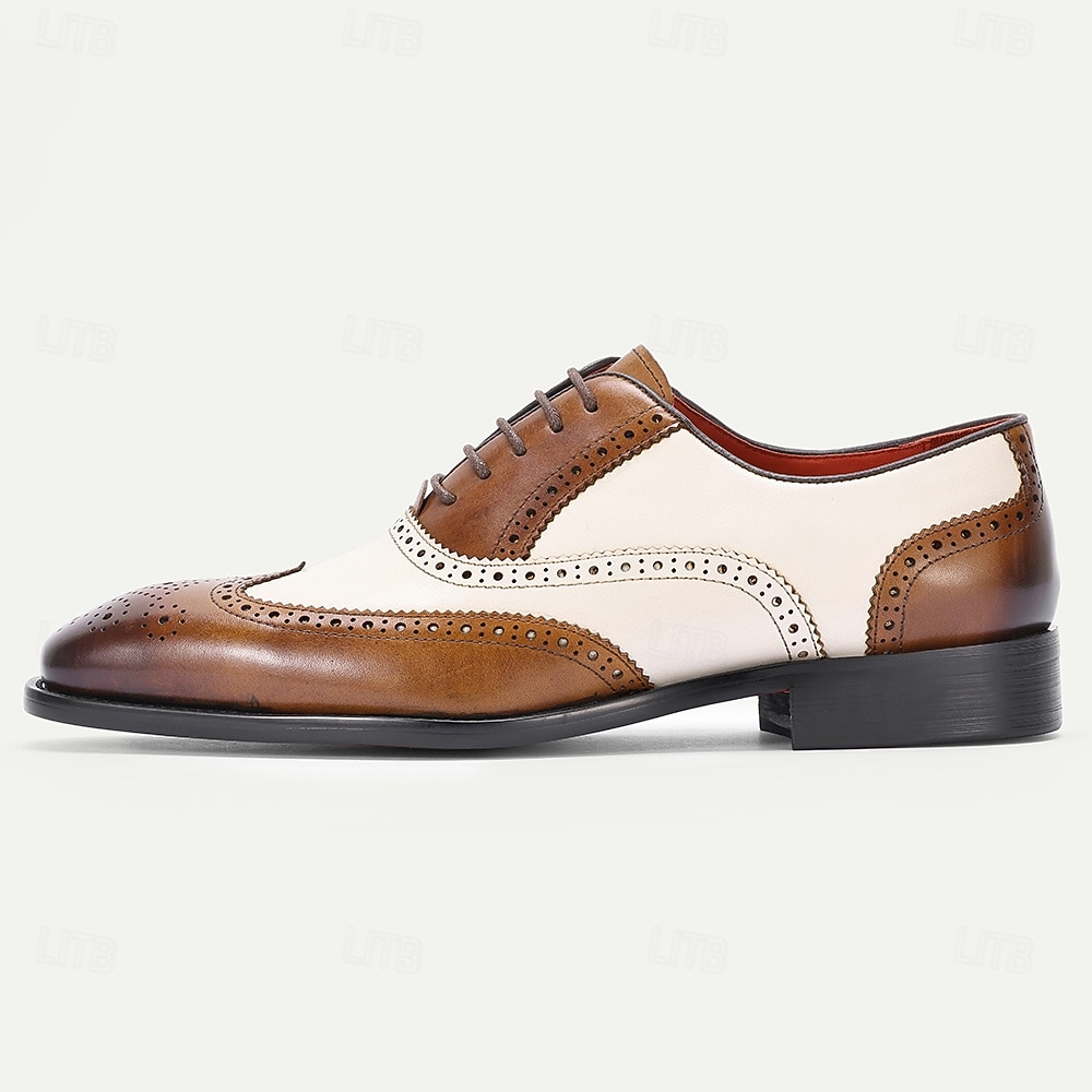 Premium leren loafers met kwastjes voor heren – gemaakt van echt rundleer, met een zachte suède afwerking, gemakkelijk aan te trekken, elegant en geschikt voor zowel casual als zakelijke gelegenheden, perfect voor op kantoor, feestjes en speciale gelegenh 2026 - $109.99 –P3