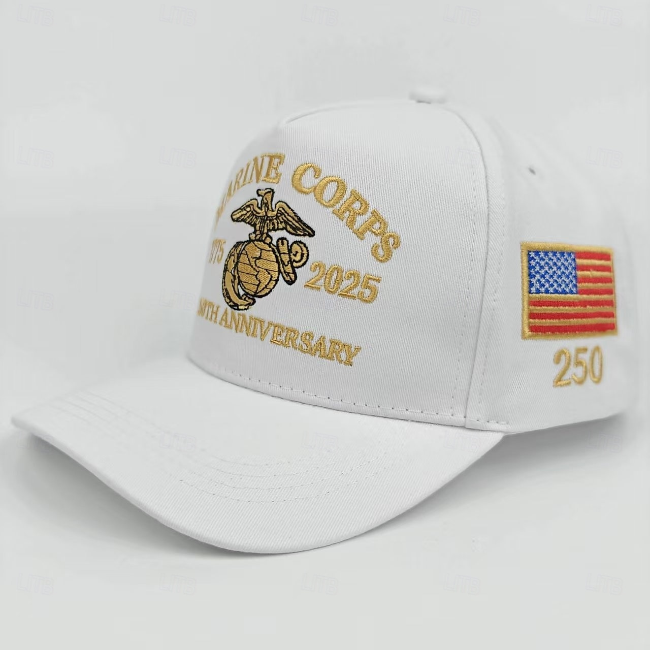Gorra de béisbol unisex con el 250 aniversario de la independencia, portátil, transpirable, para uso diario, para exteriores, con bandera bordada en la calle. 2026 - $13.99 –P8