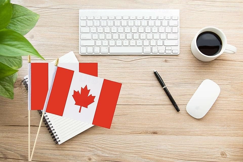 25Pack Small Canada Flag Handheld Mini Canadian Flag on Stick 5x8 Inch for Soccer World Summer Cup Match, Sports Events, Party Decorations, Fans Cheering 2026 - $16.99 –P4