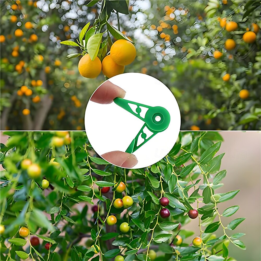 30 יחידות קליפסים לצמחים מתכווננים קליפסים לכיפוף ענפי צמח אימון קליפסים לכיפוף צמחים מחזיק עציץ גינה קליפסים לאימון גזע 2026 - $20.99 –P2