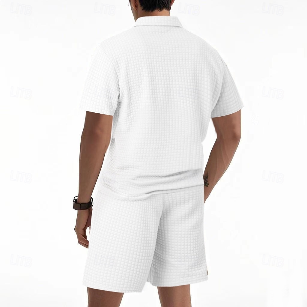 Herre Polo T-skjorte drakter Joggedress Shorts og T-skjorte sett Kortermet Kort Erme Aftæpning Sommer Fargeblokk Gymnastik Fritid Jacquard Glidelås 2 deler Avslappet Feriereise Dagligdagstøy Svart 2026 - $35.99 –P17