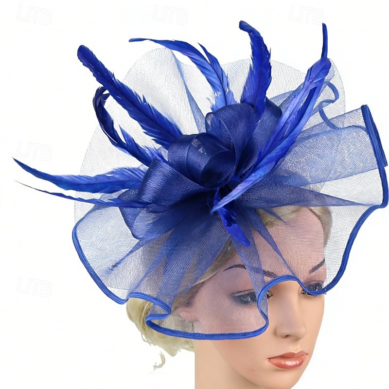 Γοητευτικά Φτερά Δίχτυ Γάμου Γενέθλια Κομψό Βίντατζ χαριτωμένο στυλ Με Φτερό Τούλι Ακουστικό Καπέλα 2026 - $17.49 –P5