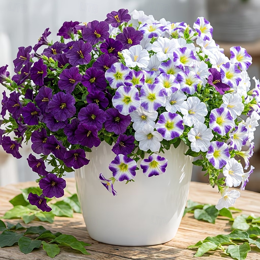 30 flores artificiales con margaritas en degradado de tres colores, perfectas para la decoración de jardines exteriores en primavera. &Decoración de temporada de verano, apta para uso 2026 - $14.99 –P6