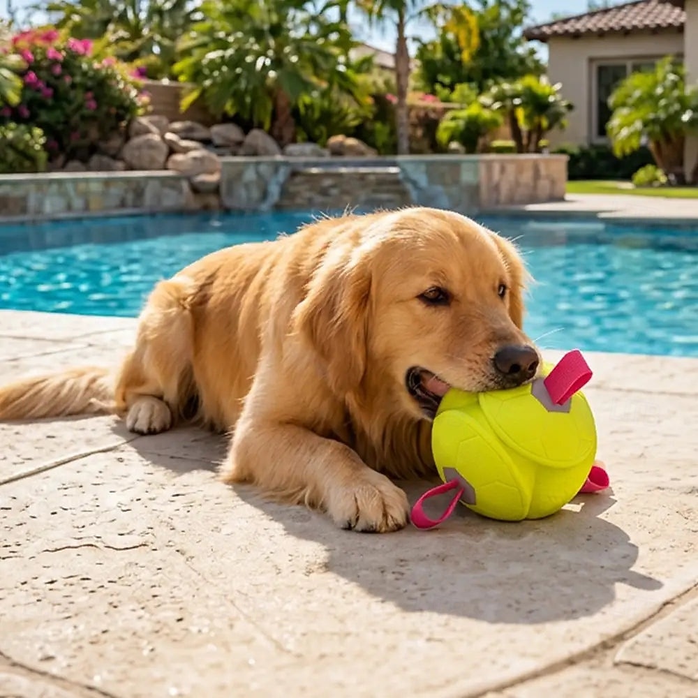 Pallone galleggiante per cani con cinghie del 2026 a $42.99 –P1