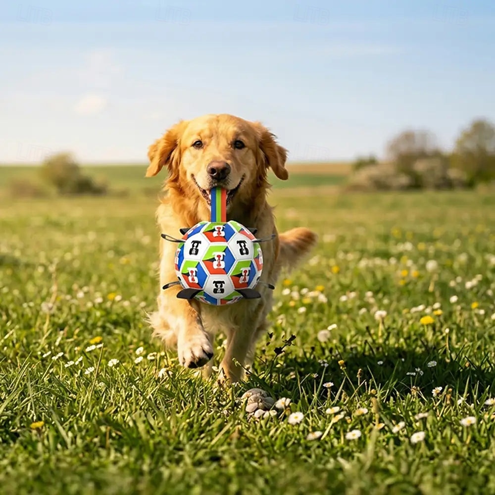 Hundfotboll med remmar interaktiv leksak 18 cm i diameter 2026 - $13.49 –P7