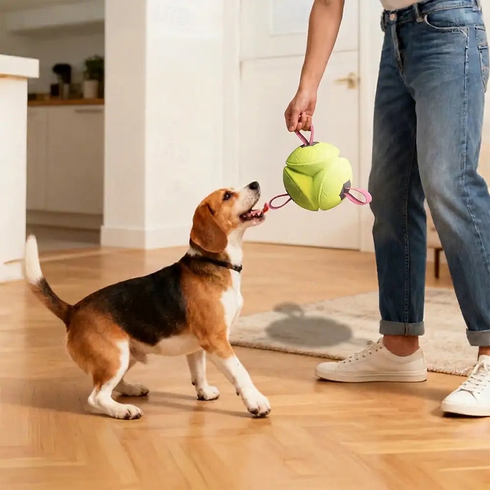 Pallone galleggiante per cani con cinghie del 2026 a $42.99 –P8