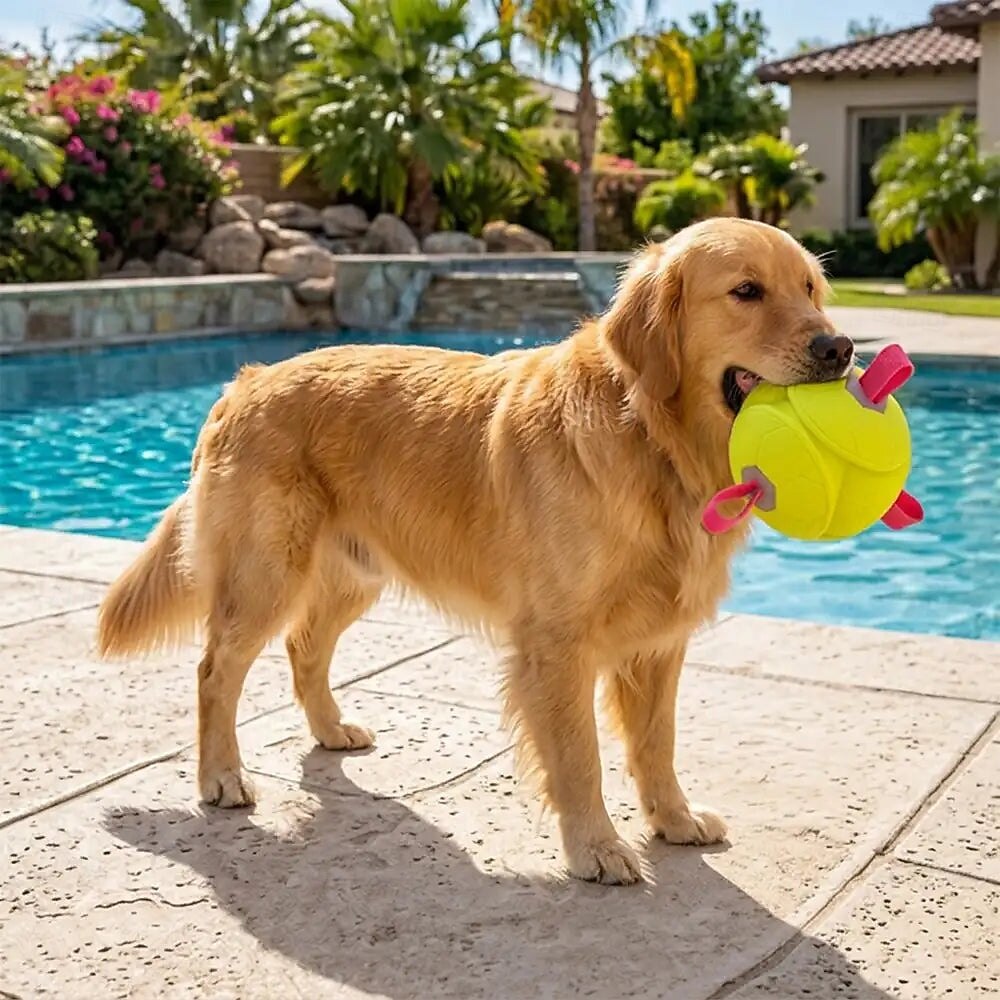 Pallone galleggiante per cani con cinghie del 2026 a $42.99 –P3