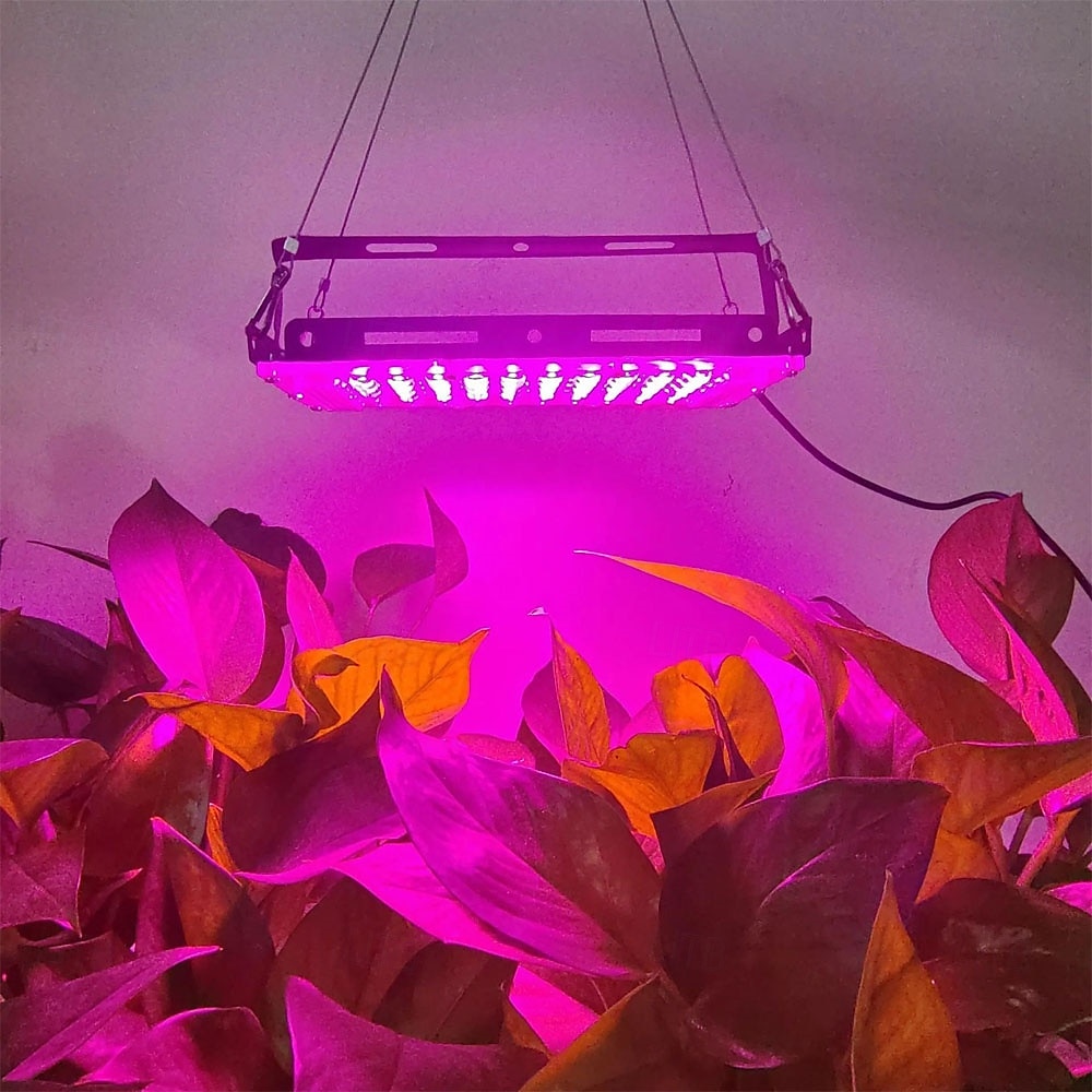 Lampe de croissance végétale USB 5V, lampe phyto, projecteur LED à spectre complet pour la culture hydroponique en serre, phytolampy de 2026 ? $13.99 –P4