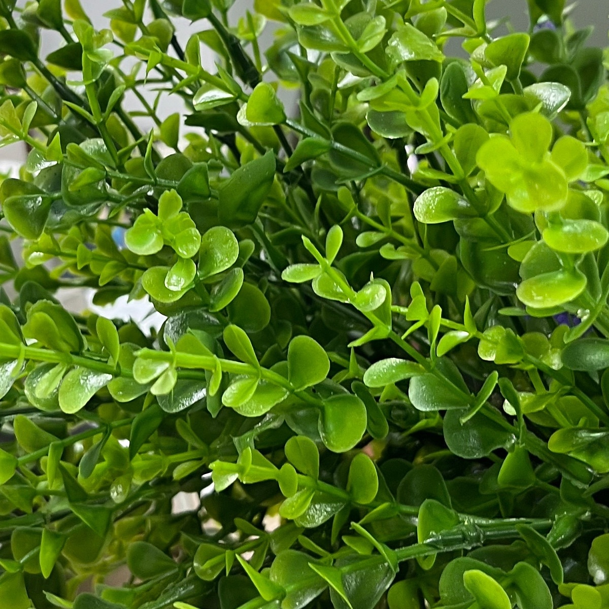 Umělý eukalyptus, 20palcový umělý eukalyptus s bodcem do země, realistická zeleň pro interiér/exteriér domu, terasy, zahrady a dekorace na fotografování. 2026 - $26.99 –P9