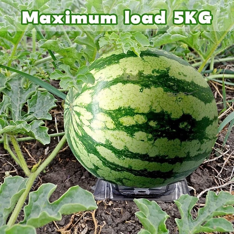 Melon Rack 50Pcs Plastic Melon Cradle, Clear Watermelon Support Stand, Melon ...