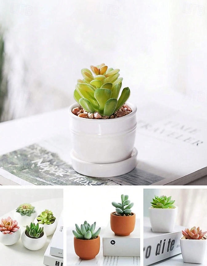 Piante grasse artificiali, eleganti decorazioni finte in vaso per scrivania e davanzale, composizioni realistiche di piante grasse senza vaso per casa, ufficio e centrotavola. del 2026 a $15.99 –P10