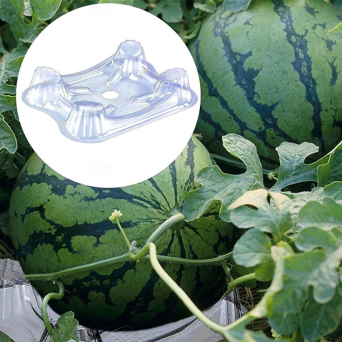 Melon Rack 50Pcs Plastic Melon Cradle, Clear Watermelon Support Stand, Melon ...