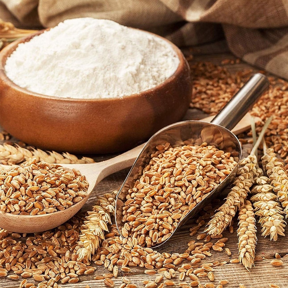مغرفتان أو أربع مغارف صغيرة من الفولاذ المقاوم للصدأ، ملاعق قياس للثلج والسكر والفاصوليا الخضراء والأرز وطعام الحيوانات الأليفة، مغارف متينة وسهلة الاستخدام ومتعددة الأغراض للمطبخ والعناية بالحيوانات 2026 - $9.99 –P3