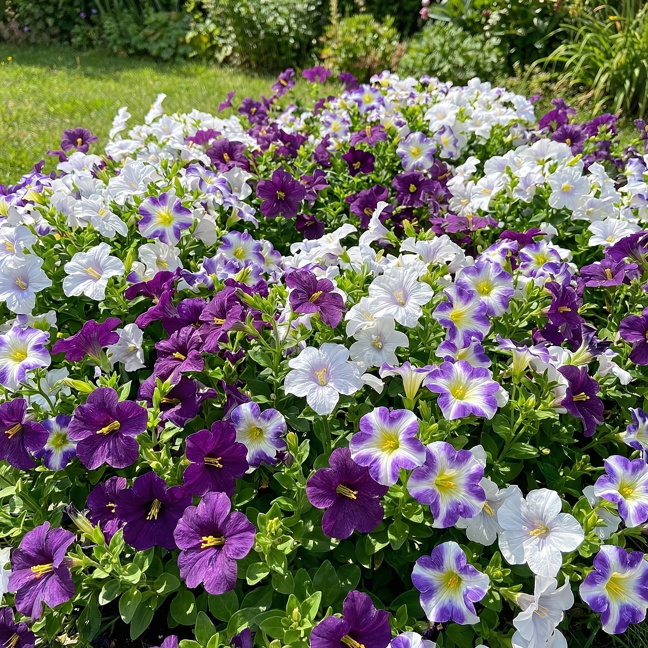 30 flores artificiales con margaritas en degradado de tres colores, perfectas para la decoración de jardines exteriores en primavera. &Decoración de temporada de verano, apta para uso 2026 - $14.99 –P3
