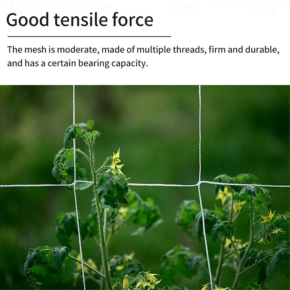 Garden Climbing Net Trellis Netting Heavy-Duty Plant Support Stand for Flowers Vegetable Vine Orchard Gardening Tools 2026 - $10.49 –P4