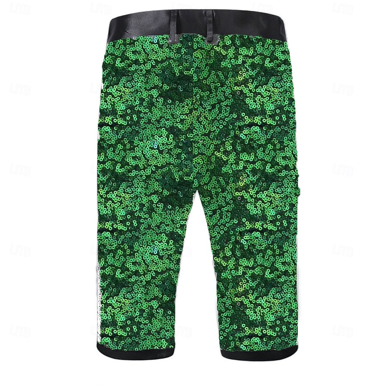 Retro Vintage Disco 1980s Shorts Disco Sequins Fancy Dress Men's Halloween Carnival Performance Bar Adults' Shorts Summer 2026 - $37.99 –P8
