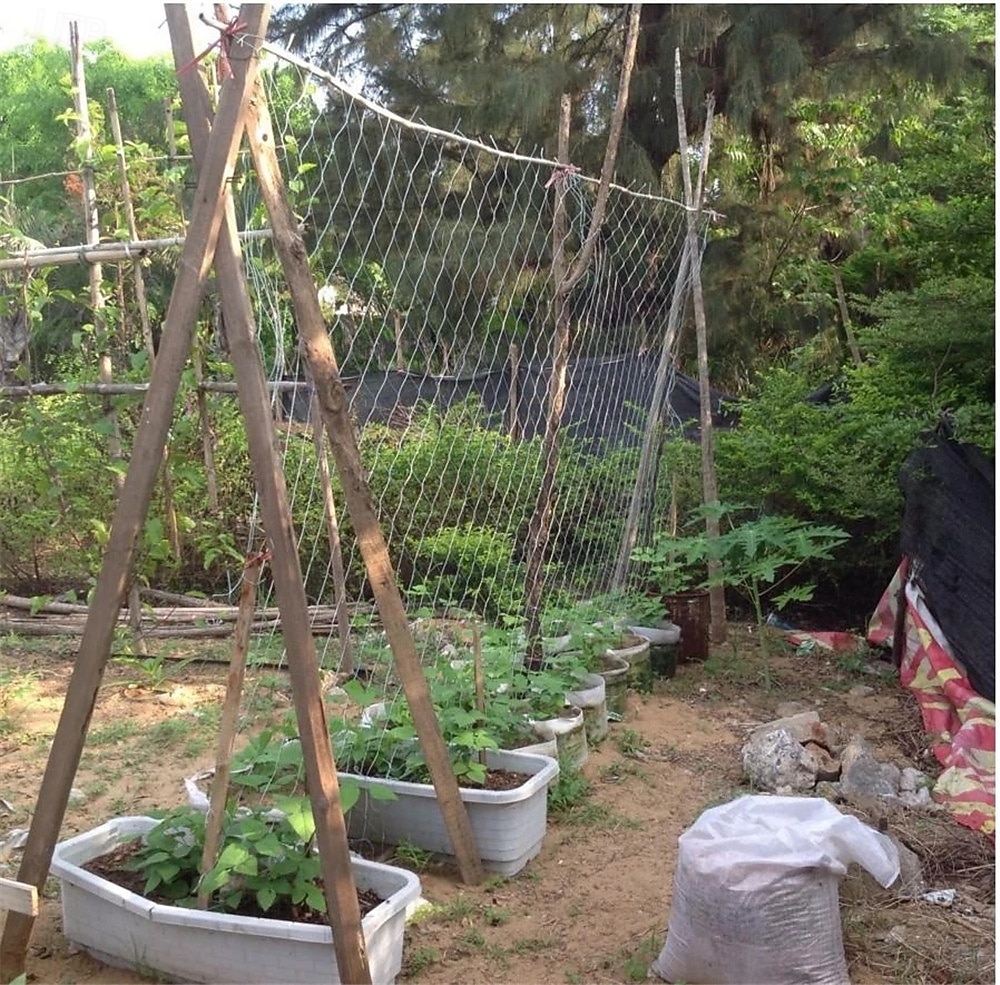 Garden Climbing Net Trellis Netting Heavy-Duty Plant Support Stand for Flowers Vegetable Vine Orchard Gardening Tools 2026 - $10.49 –P8