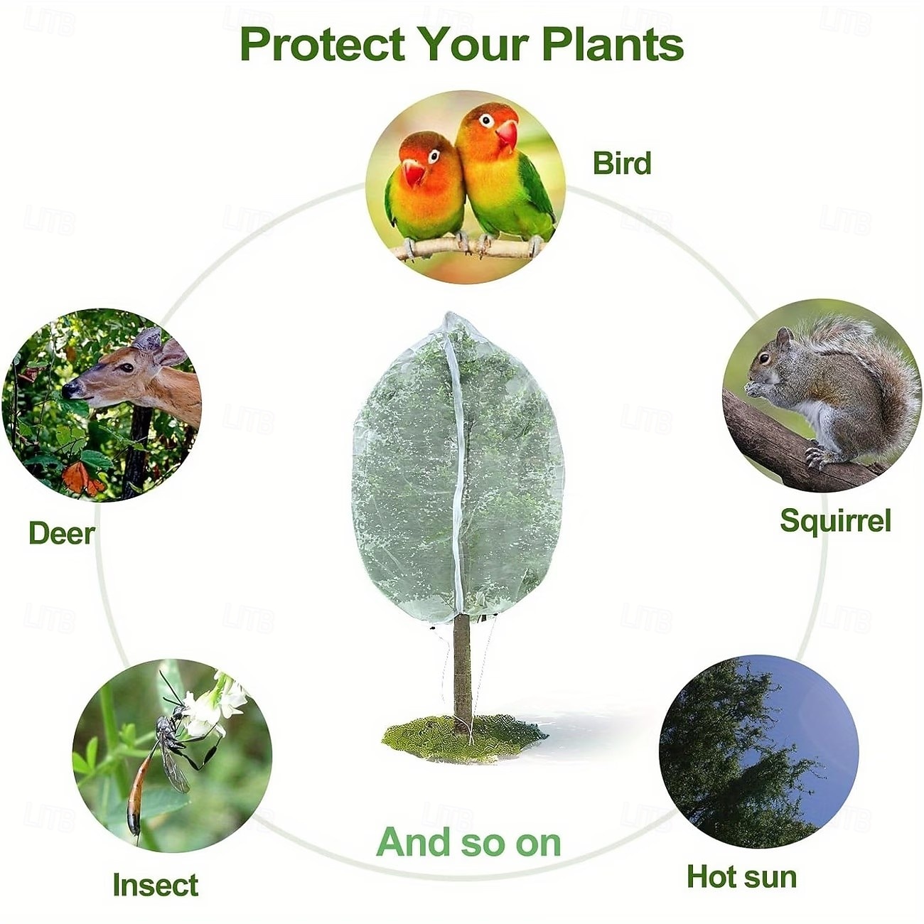 Fruit tree protective net bag, bird-proof net cover, protects apple trees and blueberry bushes from birds, pests, deer, and cicadas, featuring a zipper and drawstring design (optional sizes) 2026 - $12.49 –P6