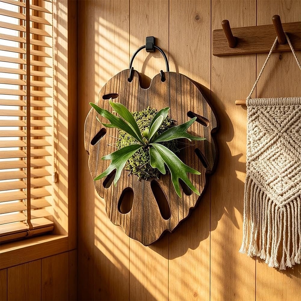 Bevestigingsplank voor varens, zeshoekige houten ophangbasis met voorgeboorde gaten voor verticale tuinen, stevige plantenhouder van Chinees sparrenhout voor epifytische planten, wanddecoratie 2026 - $16.99 –P2